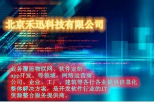 拓展定制軟件開發(fā)——禾迅科技助力企業(yè)數(shù)字化轉(zhuǎn)型